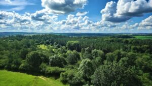 Wohnen in Teterow - Stadtansicht